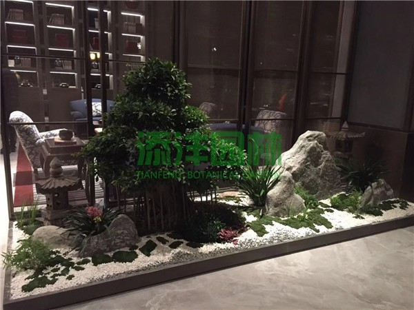 打造植物墻需要注意哪些問(wèn)題？